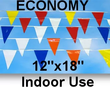 Economy 12x18 Indoor Pennants 100 Feet. #p100