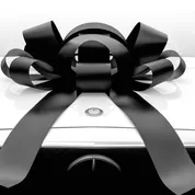 Giant Black magnetic Car Bow #531 Jum-bow