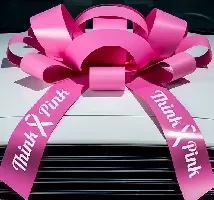 30 Inch Giant Think Pink magnetic Car Bow #531 Jum-bow