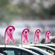 breast cancer Teardrop Flag Kit With Window Clip #ez965