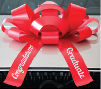 Big Red Car Bow Large Giant Ribbon Birthday Gift Wrapping Home Decoration  30In