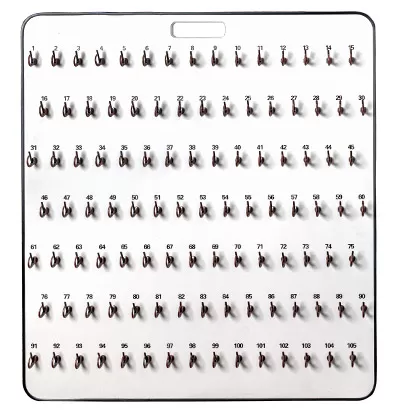 105 Hook PREMIUM Oscar Keyboard #395