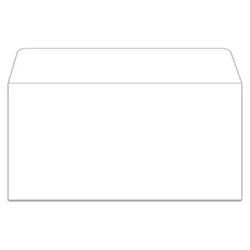 License Plate Mailing Envelope - White - Moist N Seal - Box Of 100