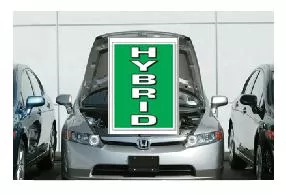 UNDER HOOD SIGN | HYBRID  GREEN & WHITE  ez905