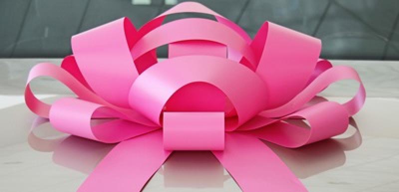 Pink Girly Bow - Pink Bow - Magnet